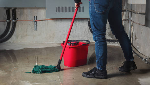 Best Mold removal after water damage  in Fairport Harbor, OH